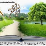 لغات محیط زیست - ایران ترجمه - irantarjomeh