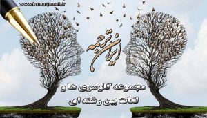 لغات بین رشته ای - ایران ترجمه - irantarjomeh