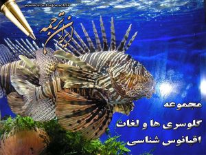 لغات اقیانوس شناسی - ایران ترجمه - Irantarjomeh