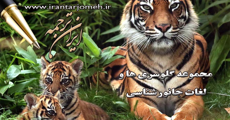 لغات جانورشناسی - ایران ترجمه - Irantarjomeh